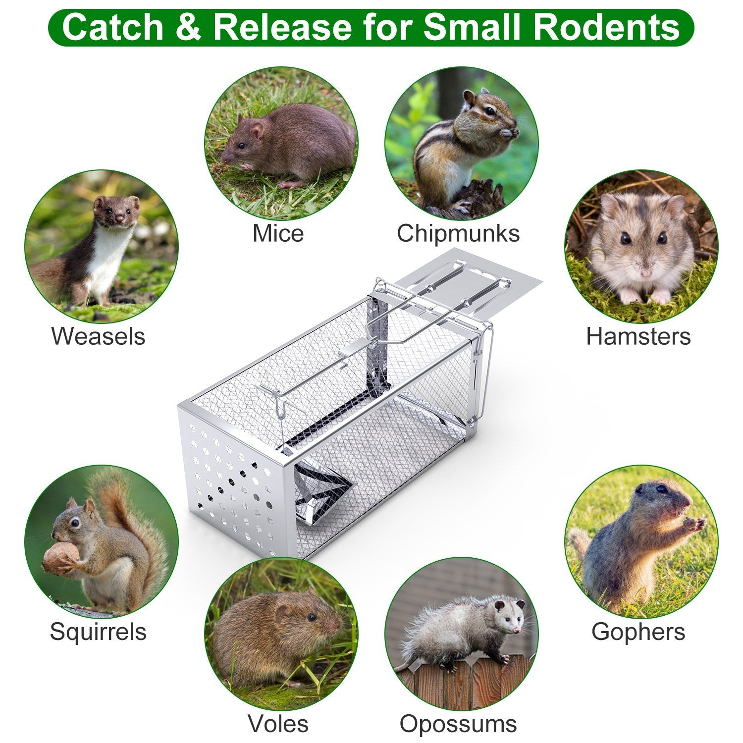 Stainless Steel Rodent Trap - High Sensitivity Pedal Auto-Locks Door, Humane Live Capture - Safe, Durable, Indoor/Outdoor Versatile Placement, Easy to Use